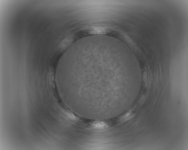 X0000065970322200603031135