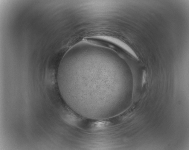 X0000065970323200603031135