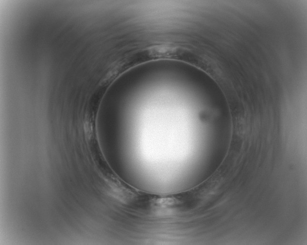 X0000065970324200603031135