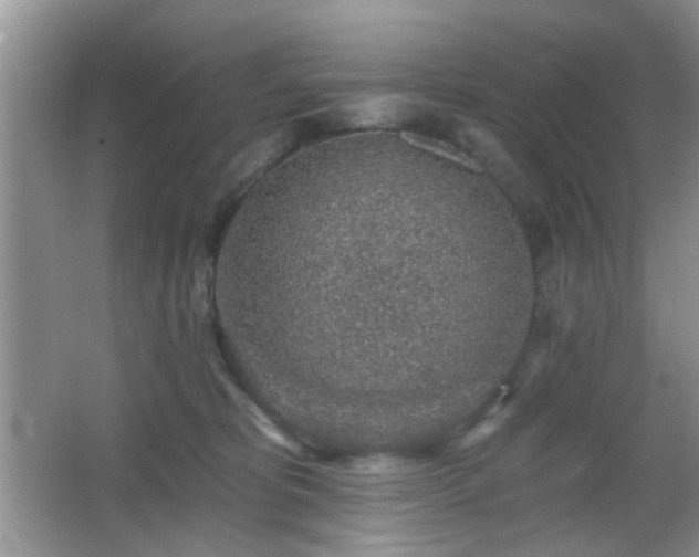 X0000065970325200603031135