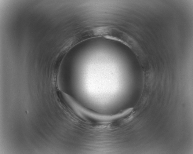 X0000065970329200603031135