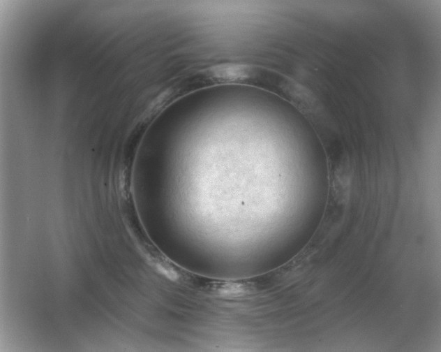 X0000065970330200603031135