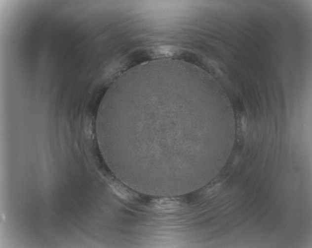 X0000065970331200603031135