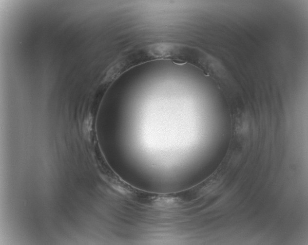 X0000065970332200603031135