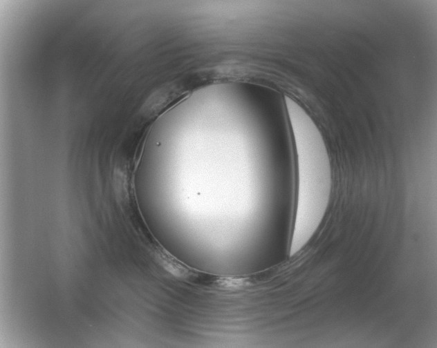 X0000065970333200603031135