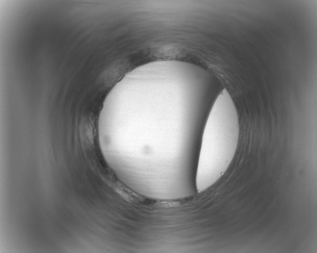 X0000065970334200603031135