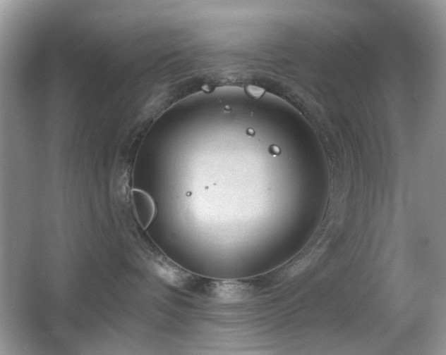 X0000065970336200603031135