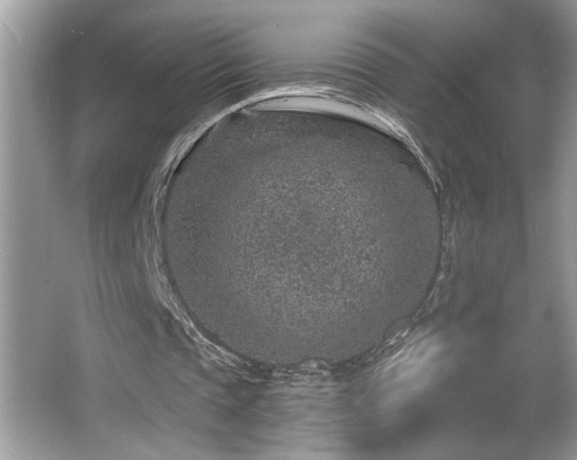 X0000065970337200603031134