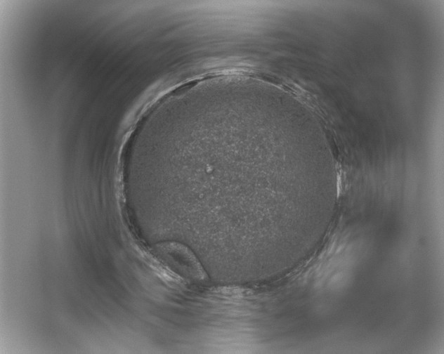 X0000065970339200603031134