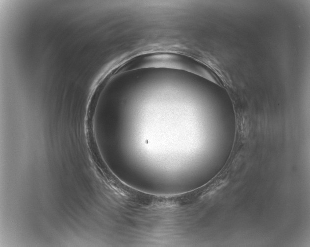 X0000065970340200603031134