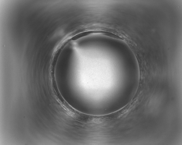 X0000065970341200603031134