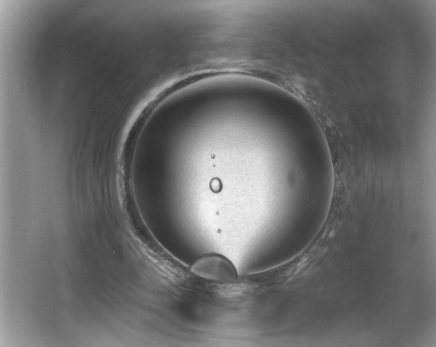 X0000065970342200603031134