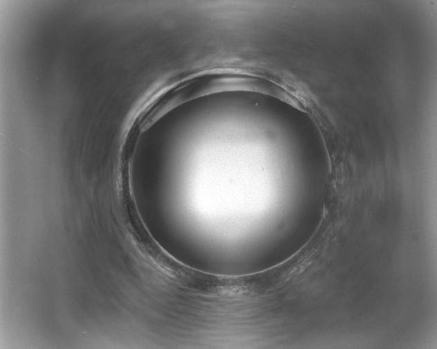 X0000065970344200603031134