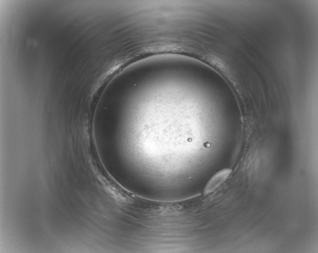 X0000065970345200603031134