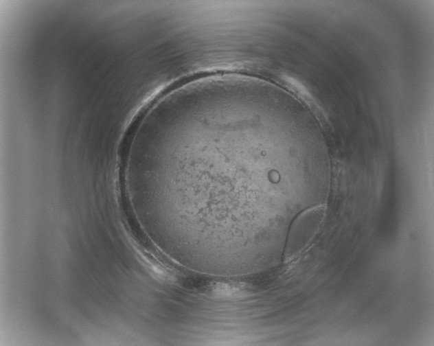 X0000065970346200603031134