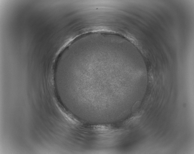 X0000065970347200603031134