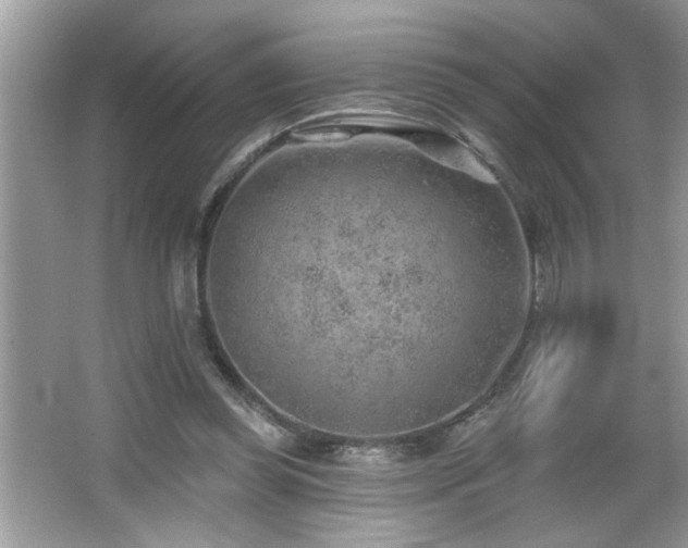 X0000065970349200603031134