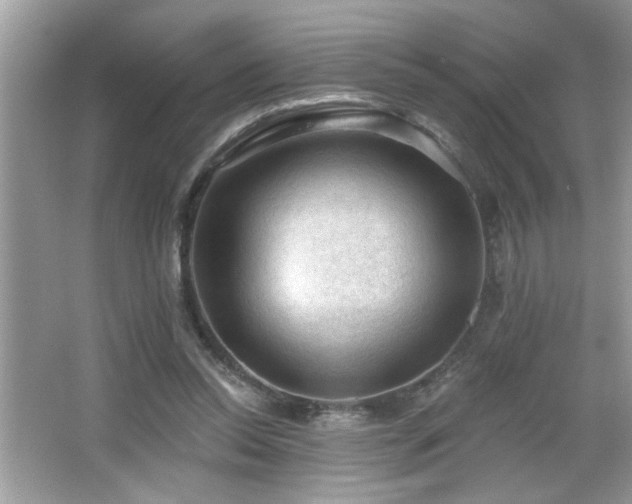 X0000065970350200603031134