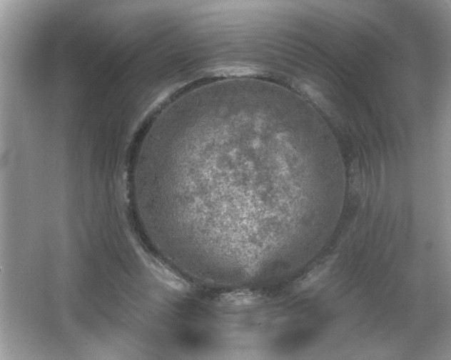 X0000065970351200603031134