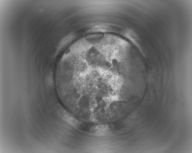 X0000065970353200603031134