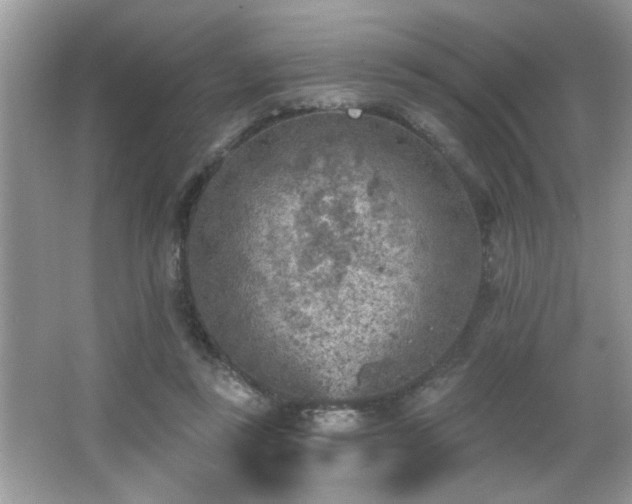 X0000065970355200603031134