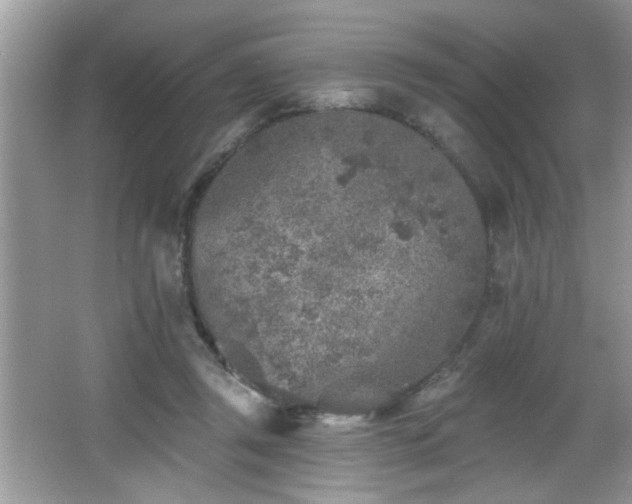 X0000065970357200603031134