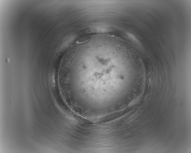 X0000065970358200603031134