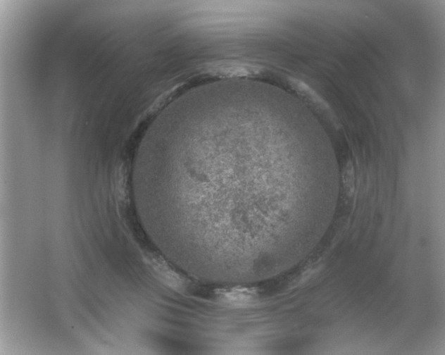 X0000065970359200603031134