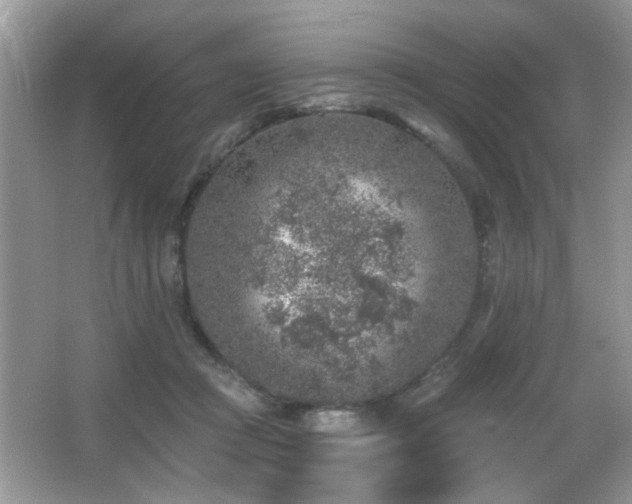 X0000065970361200603031134