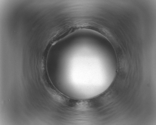 X0000065970362200603031134