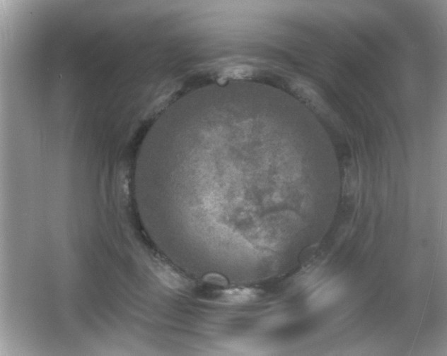 X0000065970363200603031134