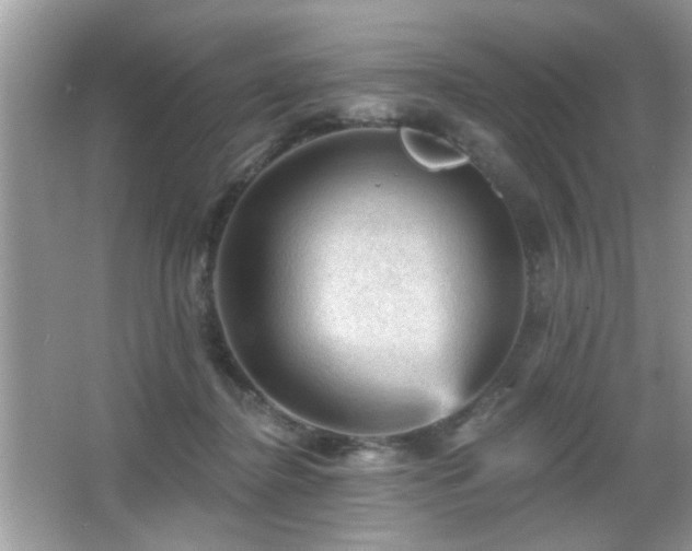 X0000065970364200603031135