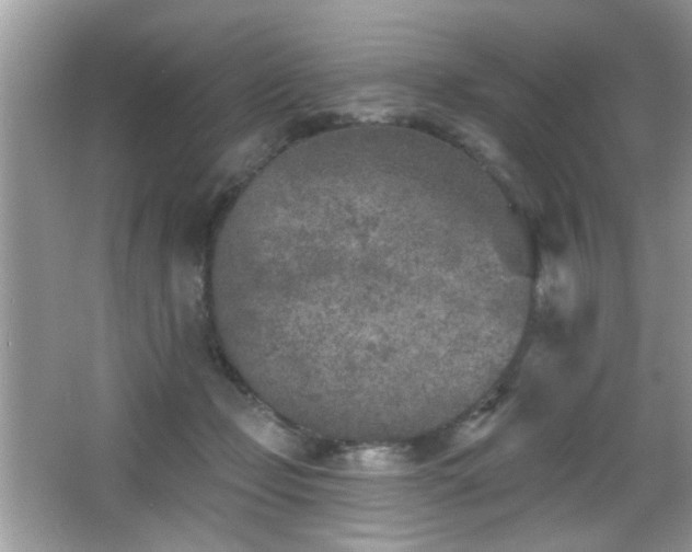 X0000065970365200603031135