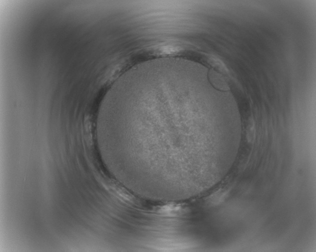 X0000065970366200603031135