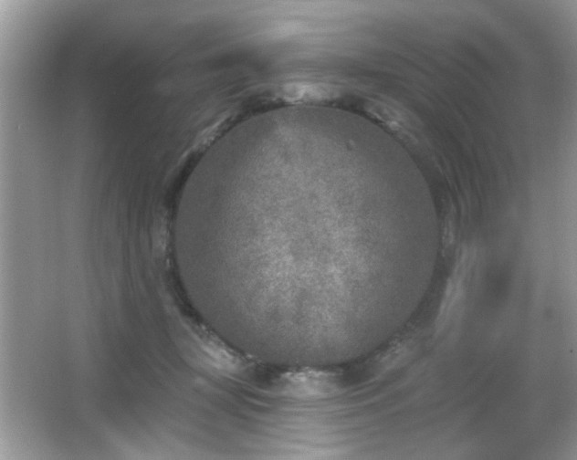 X0000065970367200603031135