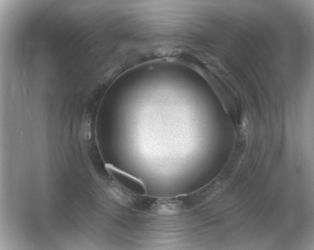 X0000065970368200603031135