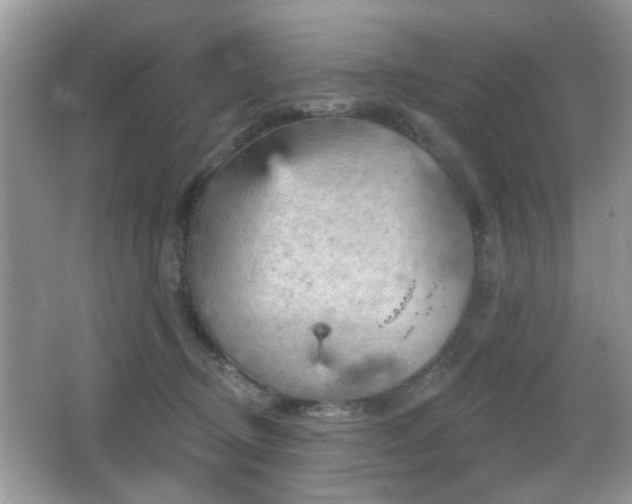 X0000065970370200603031135