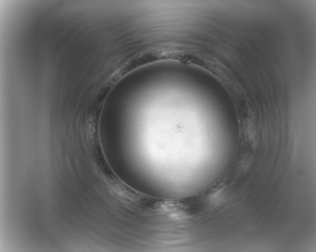 X0000065970372200603031135