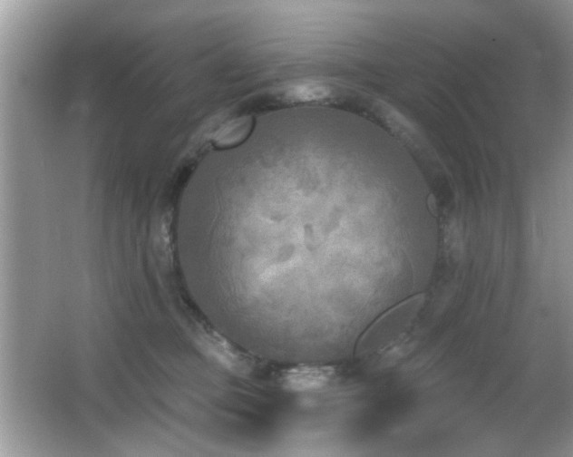 X0000065970373200603031135