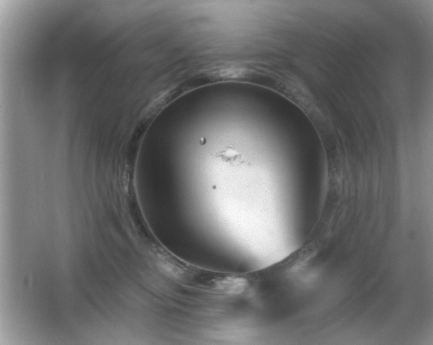 X0000065970374200603031135