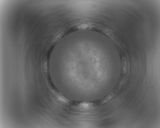 X0000065970375200603031135