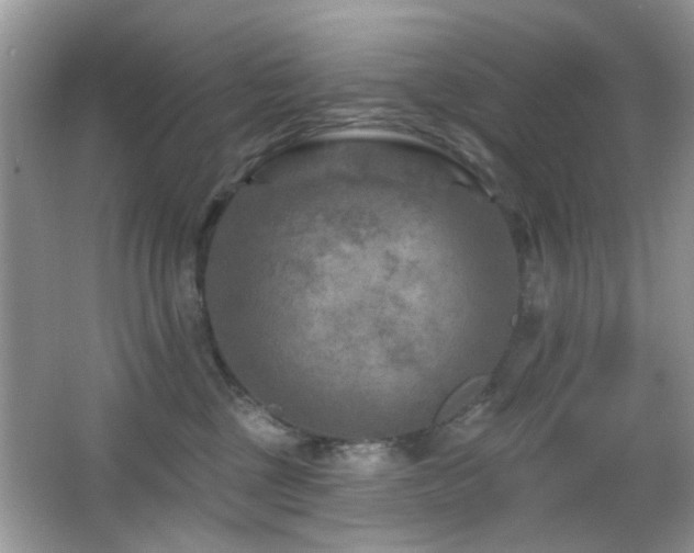 X0000065970377200603031135