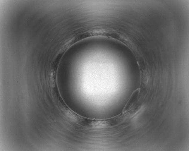 X0000065970378200603031135