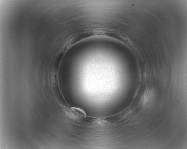 X0000065970379200603031135