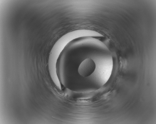 X0000065970380200603031135