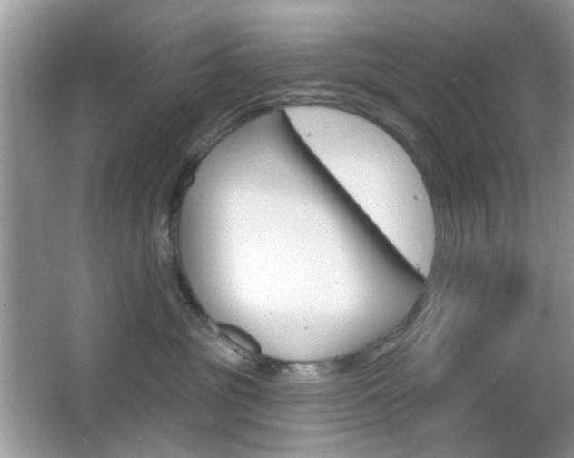 X0000065970381200603031135