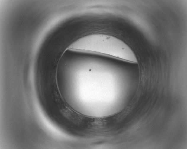 X0000065970383200603031135