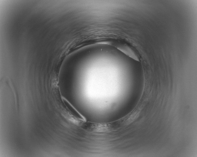 X0000065970384200603031135