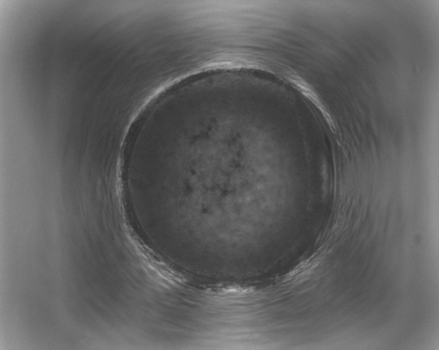 X0000065970387200603031134