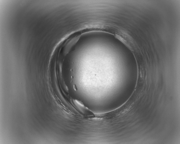 X0000065970388200603031134